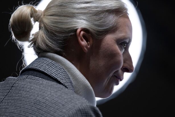 alice weidel ohrprothese